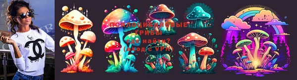 бошки Переславль-Залесский