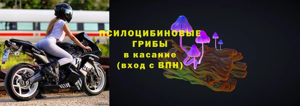 бошки Переславль-Залесский