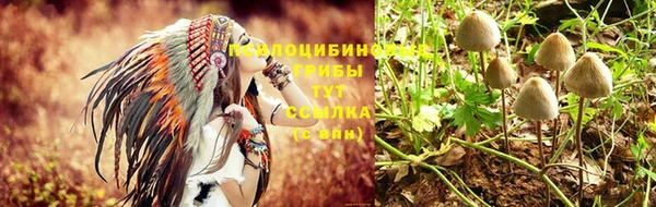 бошки Переславль-Залесский
