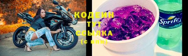 бошки Тавда