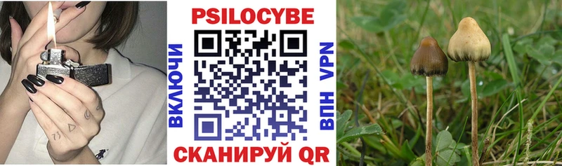 Галлюциногенные грибы MAGIC MUSHROOMS где найти наркотики Абинск