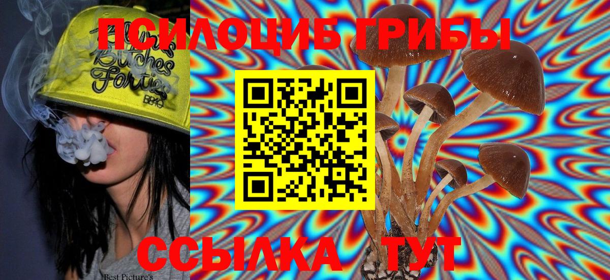Галлюциногенные грибы мицелий  Псилоцибиновые грибы Psilocybine cubensis  закладка  Абинск 