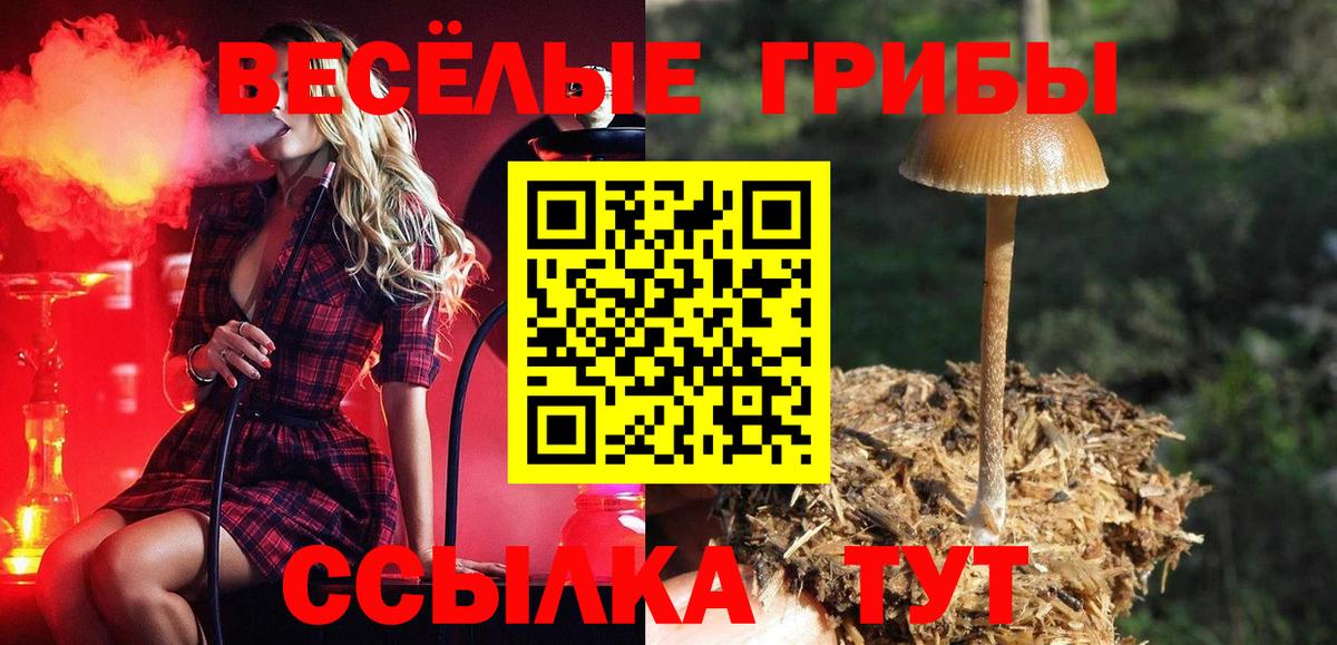 Лсд 25  Вход с VPN  MDMA  МЕФ   Гашиш  Абинск  Каннабис  Кокаин  Экстази 