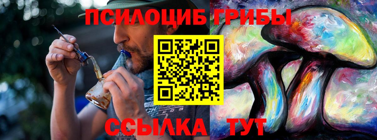 Псилоцибиновые грибы Psilocybe Абинск