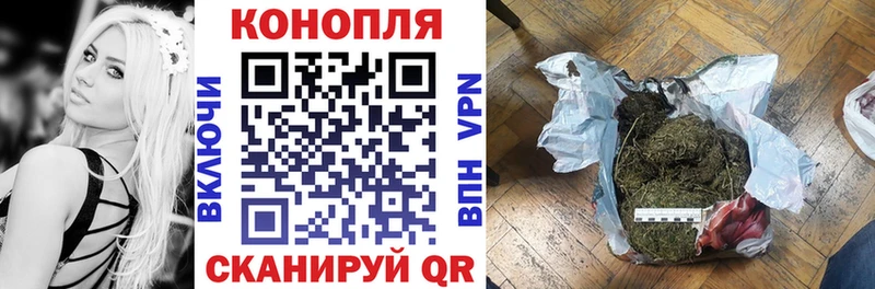 Конопля план Абинск