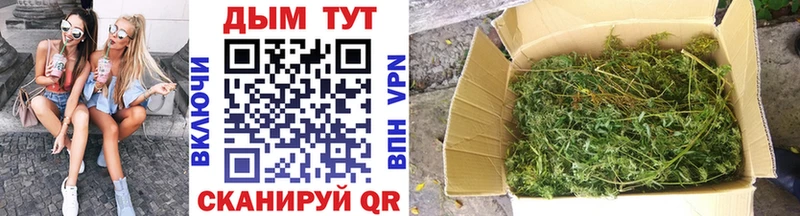 даркнет наркотические препараты Абинск Каннабис SATIVA & INDICA